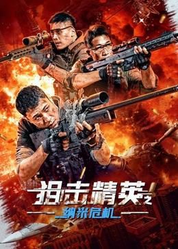 《姐夫的独宠》海报